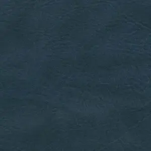 Federal Blue